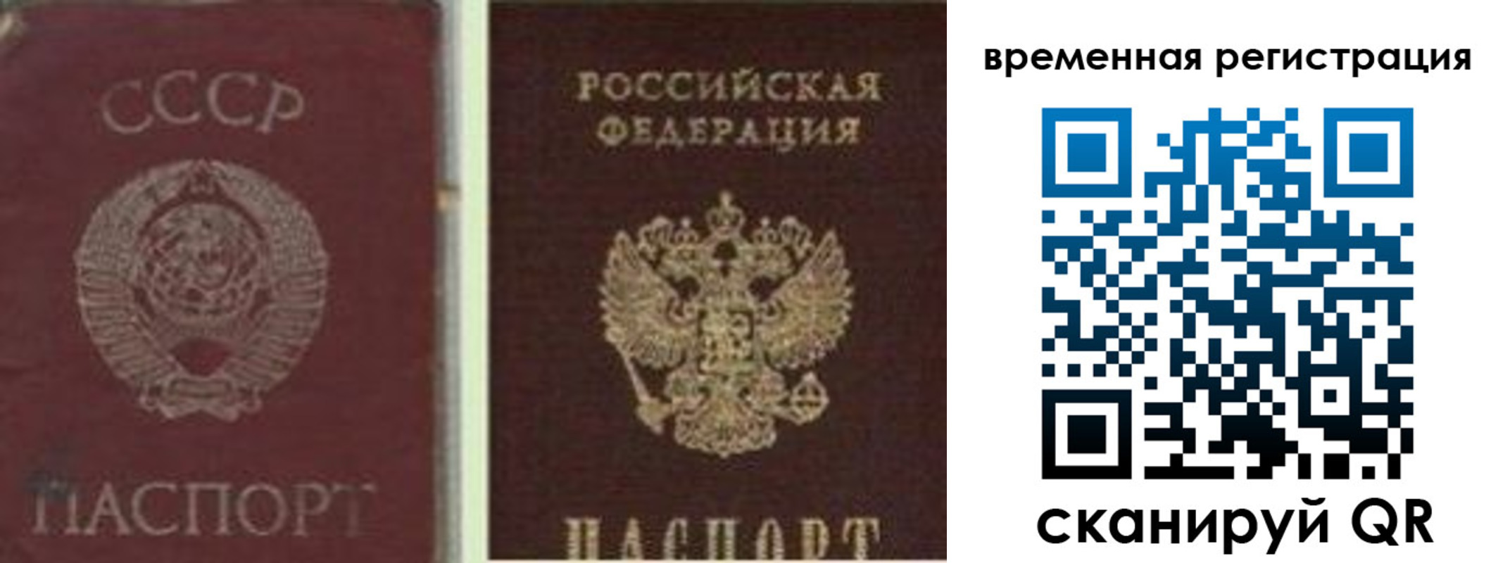 найти адрес прописки в Боготоле